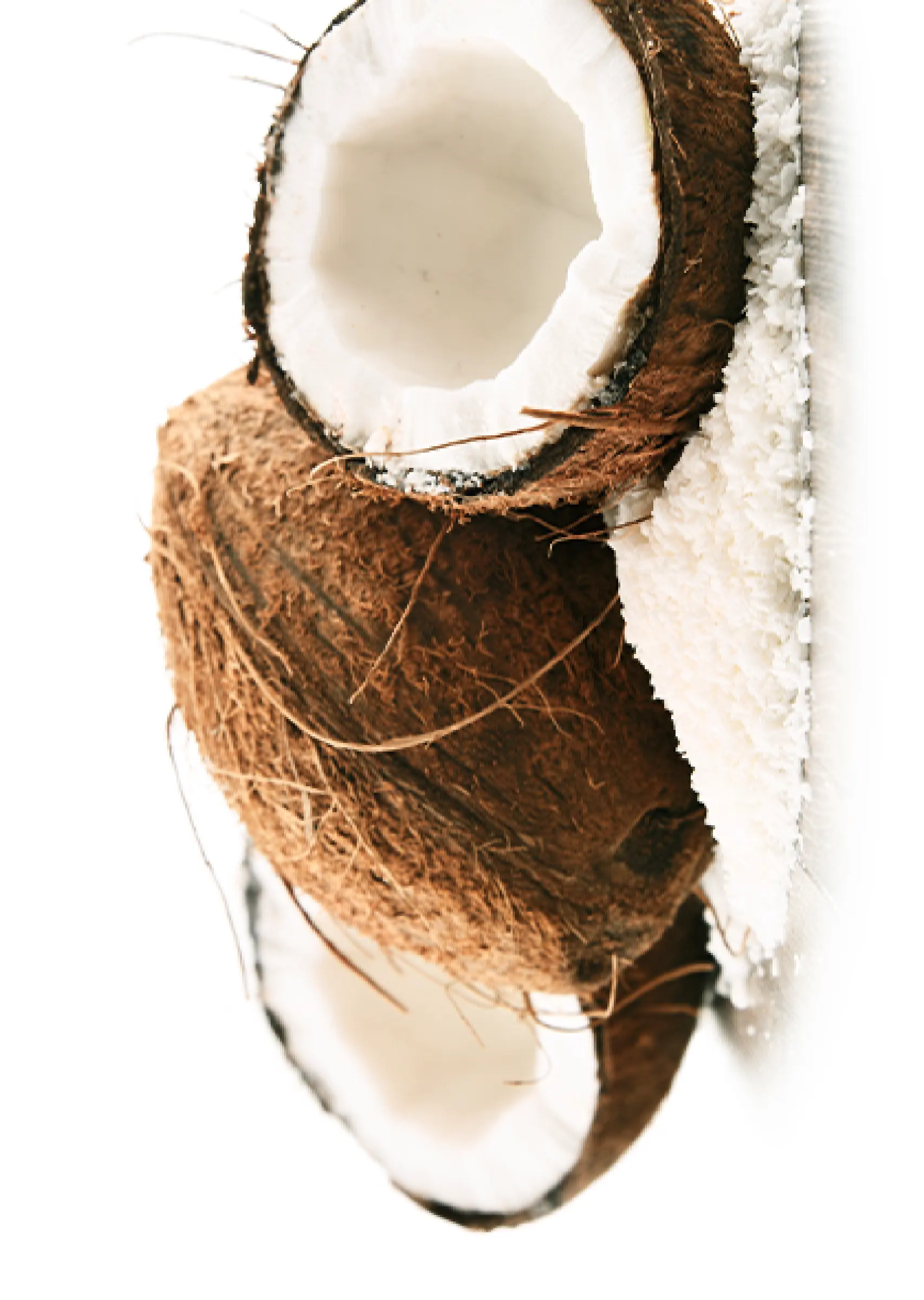 ULEIUL DE COCOS