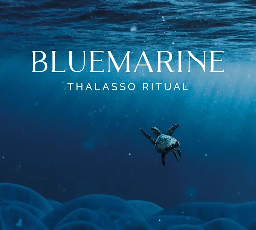 bluemarine